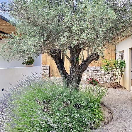 דירות Le Cabanon ואלבון מראה חיצוני תמונה