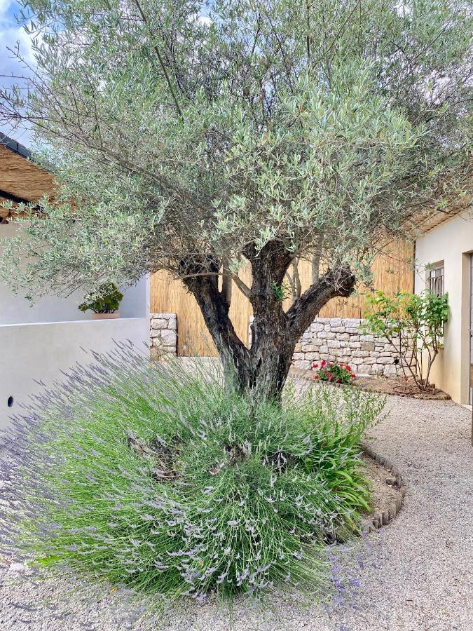 דירות Le Cabanon ואלבון מראה חיצוני תמונה